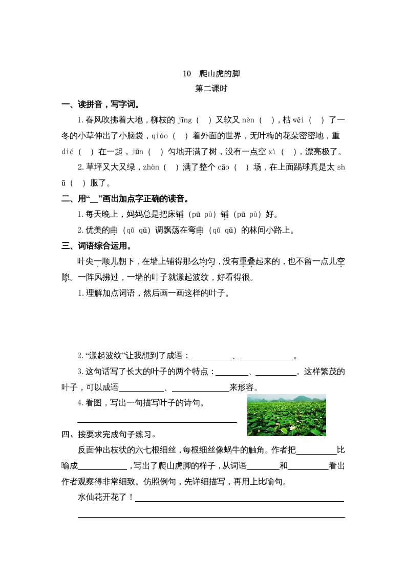 图片[3]-四年级语文上册10爬山虎的脚-知识笔记