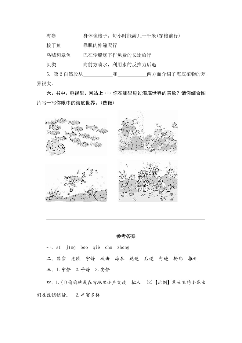 图片[3]-三年级语文下册23海底世界-知识笔记