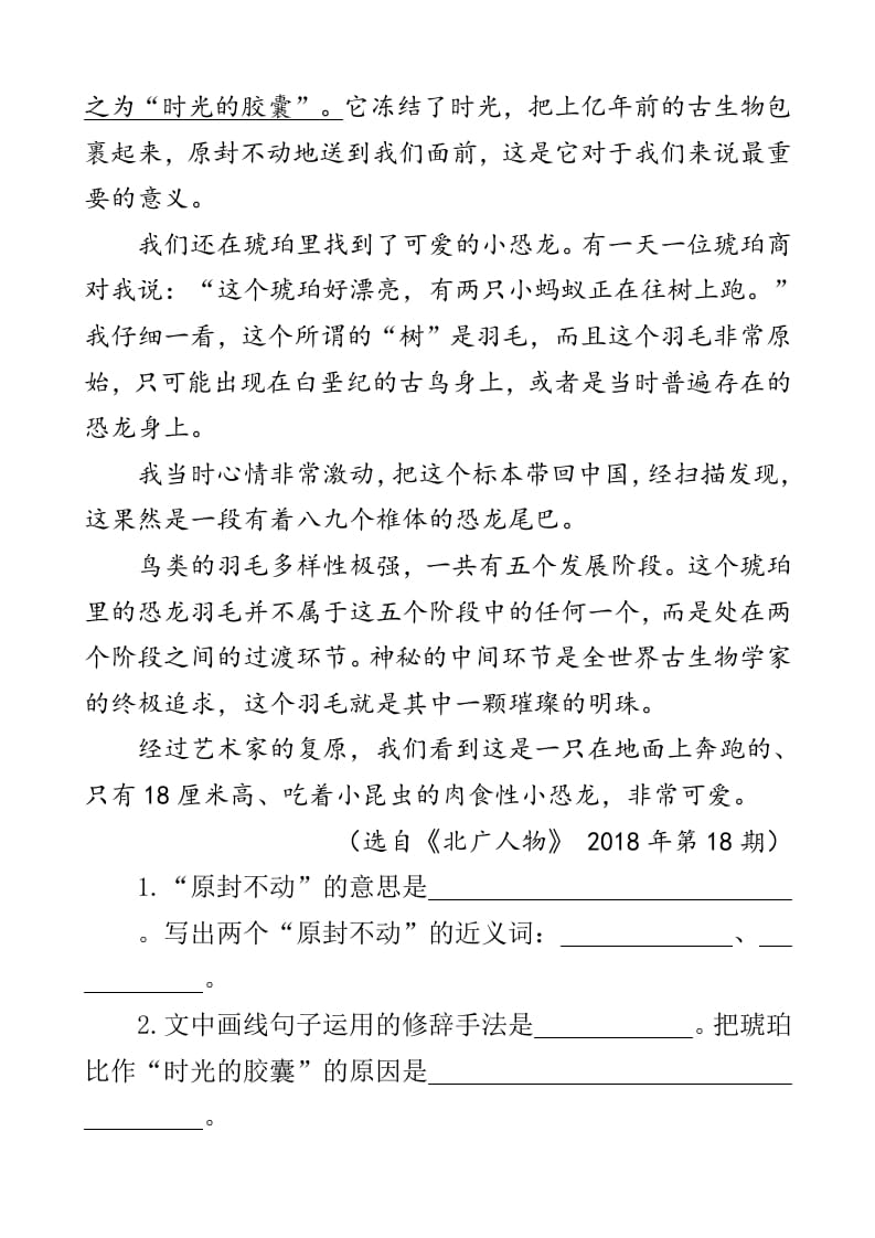 图片[3]-四年级语文下册类文阅读-5琥珀-知识笔记