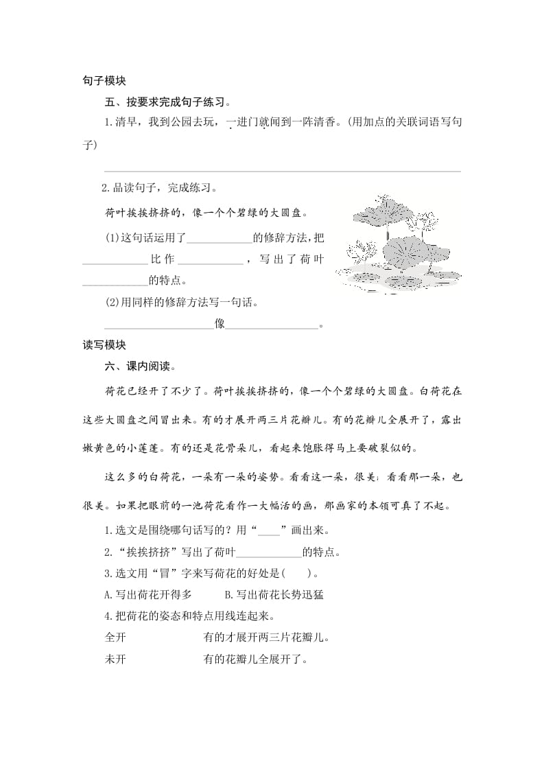 图片[2]-三年级语文下册3荷花-知识笔记