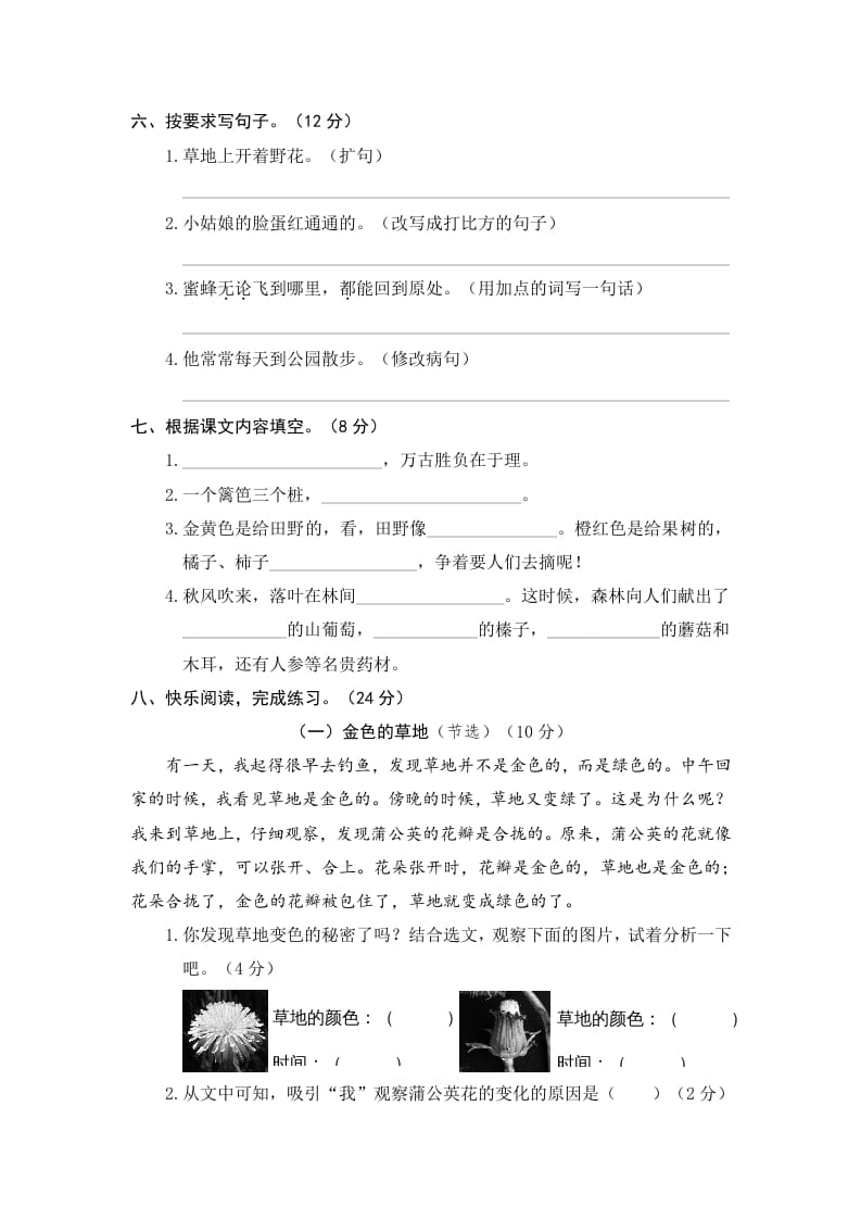 图片[2]-三年级语文上册期末练习(11)（部编版）-知识笔记