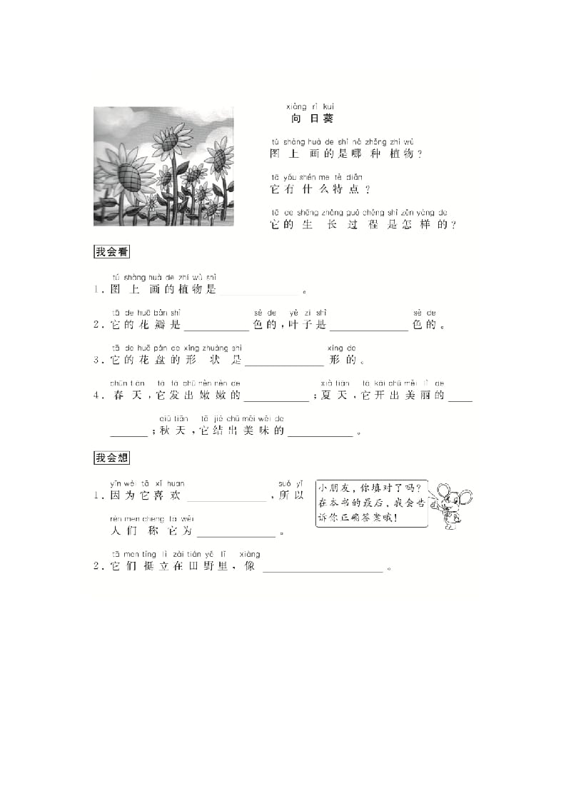 图片[2]-二年级语文上册（跟我学写话）写物（5篇）（部编）-知识笔记