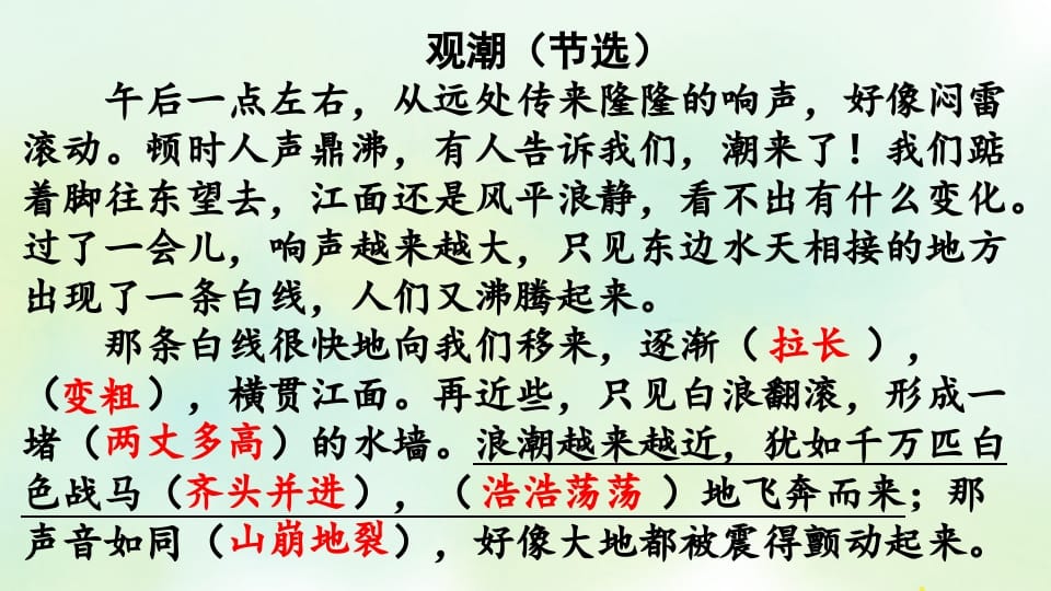 图片[3]-四年级语文上册专项7阅读指导复习课件-知识笔记